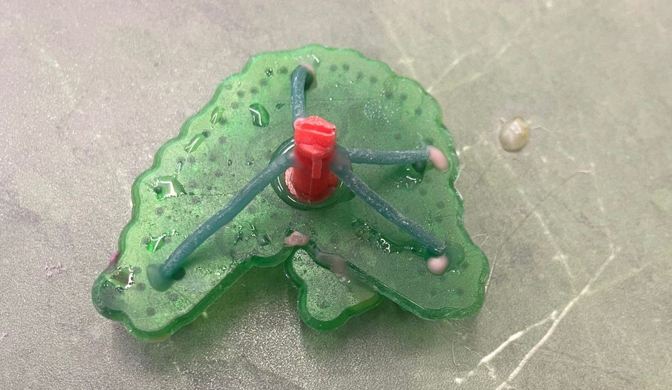 WhatsApp Image 2026-04-01 at 12.54.56 PM.jpeg