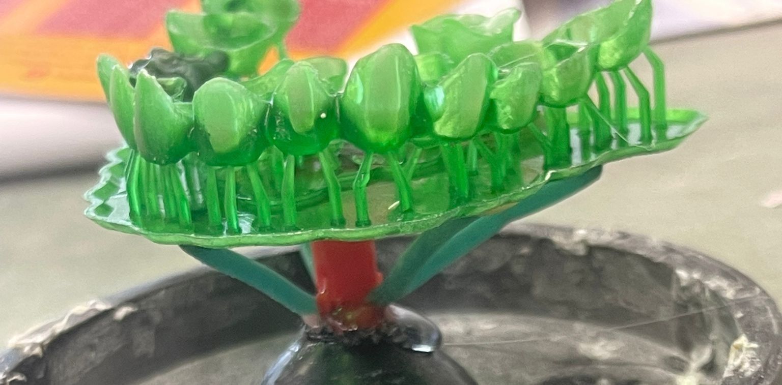 WhatsApp Image 2026-04-01 at 12.54.57 PM (1) - Copy.jpeg