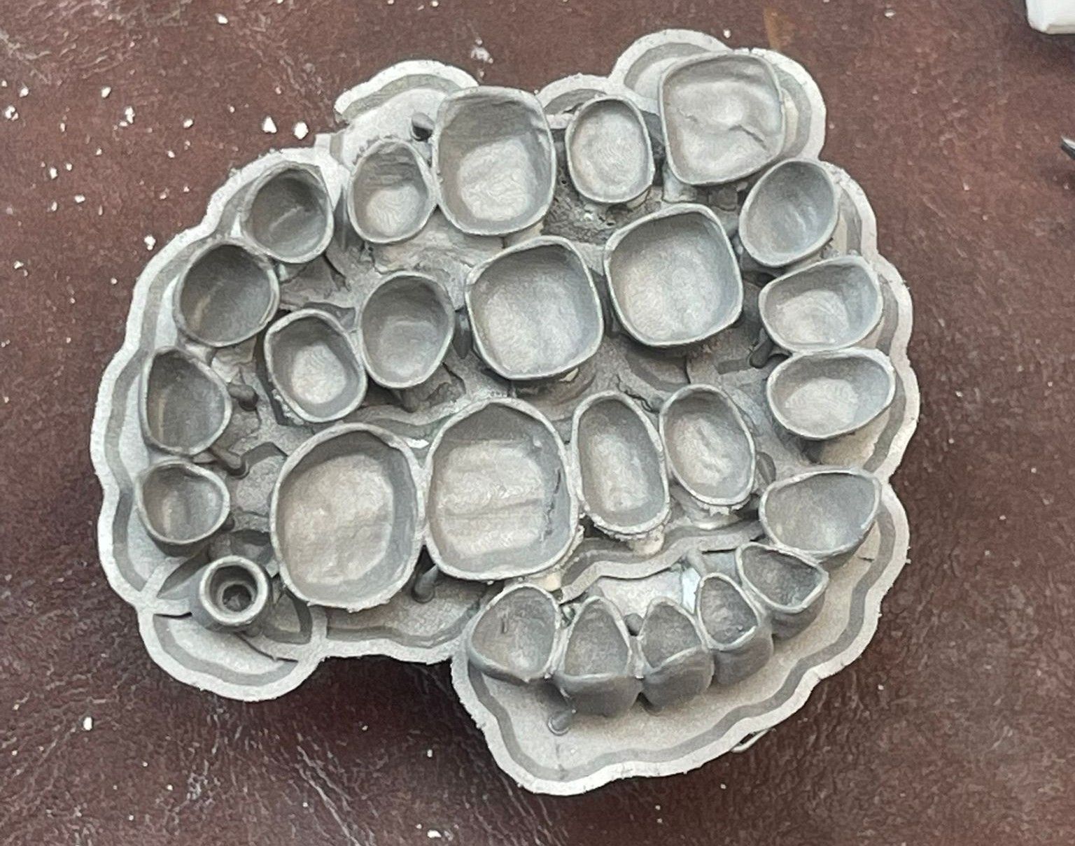 WhatsApp Image 2026-04-01 at 12.54.58 PM - Copy.jpeg